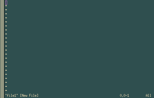 Начальная позиция в VIM